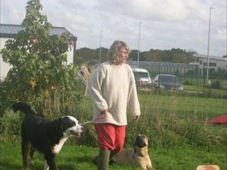 Cours adultes du 28 octobre 2010