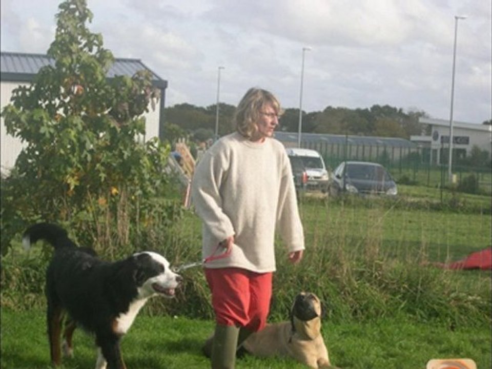 Cours adultes du 28 octobre 2010