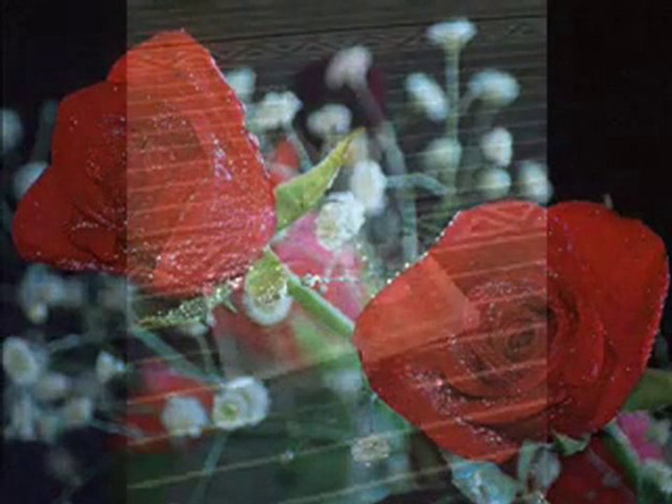 İslâmın 5 Şartı -ARAPÇA İLÂHİ-