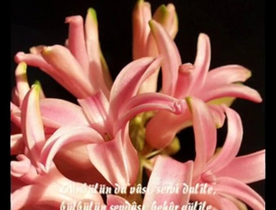 ilahi * Allah'ım Bizi Affet *