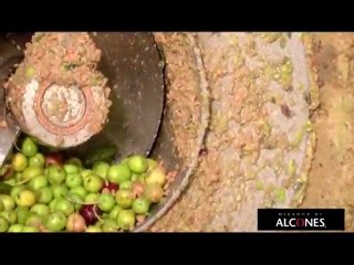 Almazara port. mpeg2