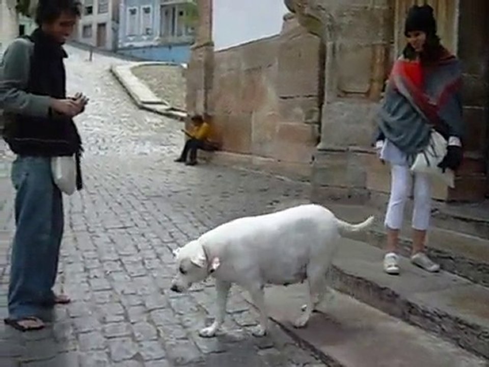 Branquinha
