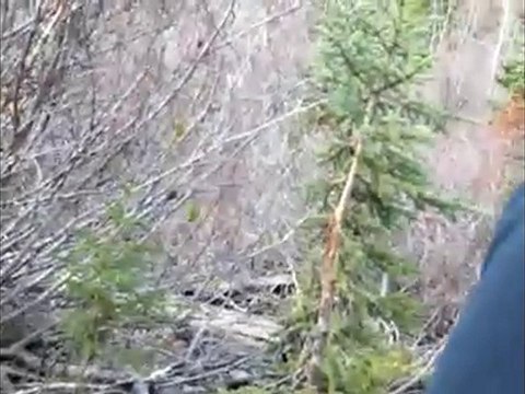 Cariboo Gold Prospecting Trip, part 1, Yanks Peak