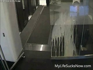 Stupid Boss Walked into Glass