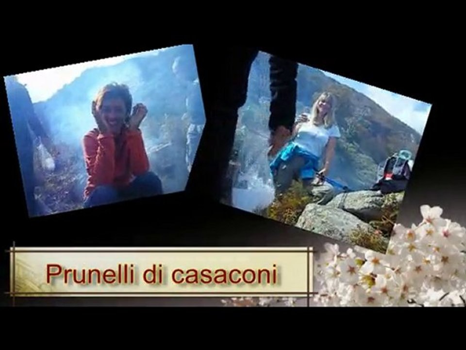 prunelli