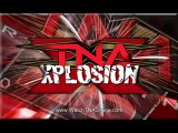 watch tna ppv free Wrestling Turning Point 2010 live stream