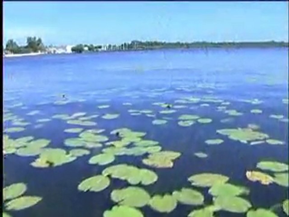 Les courants dans les Landes