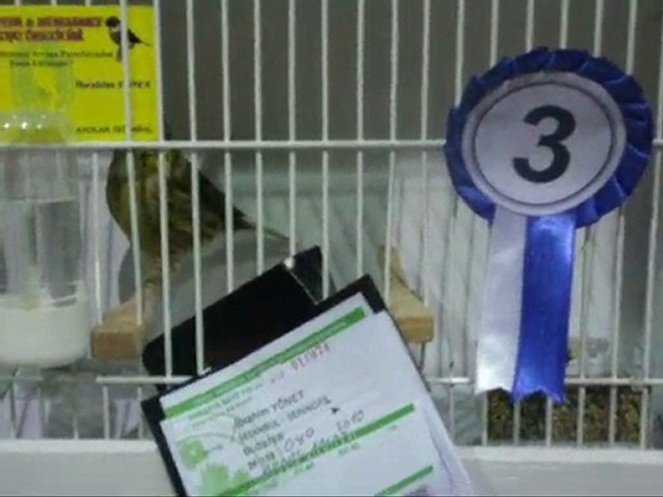 AHRAC KABAKLAR | KOCAELİ 2010