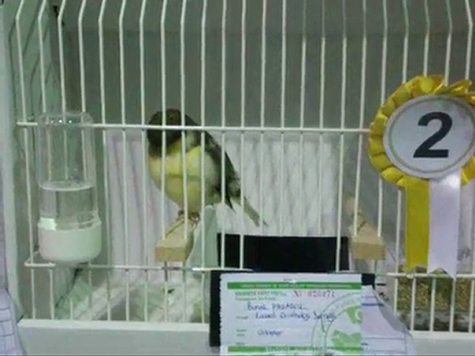 LIPOGROM AHRAC TEPELILER | KOCAELI 2010