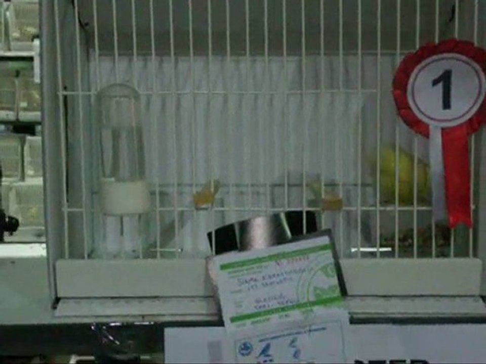 LIPOGROM TEPELILER | KOCAELI 2010