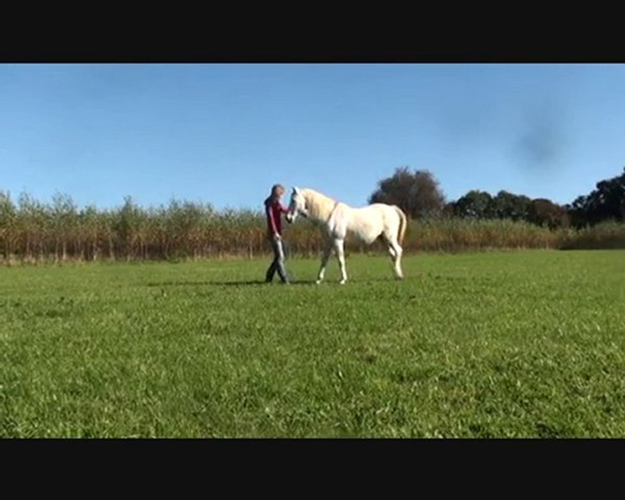 Fidjy 2ans