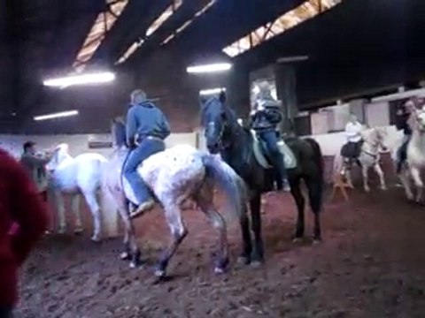 Le 07/11/2010 Jeux organisés au manège El Cortijo à Trooz