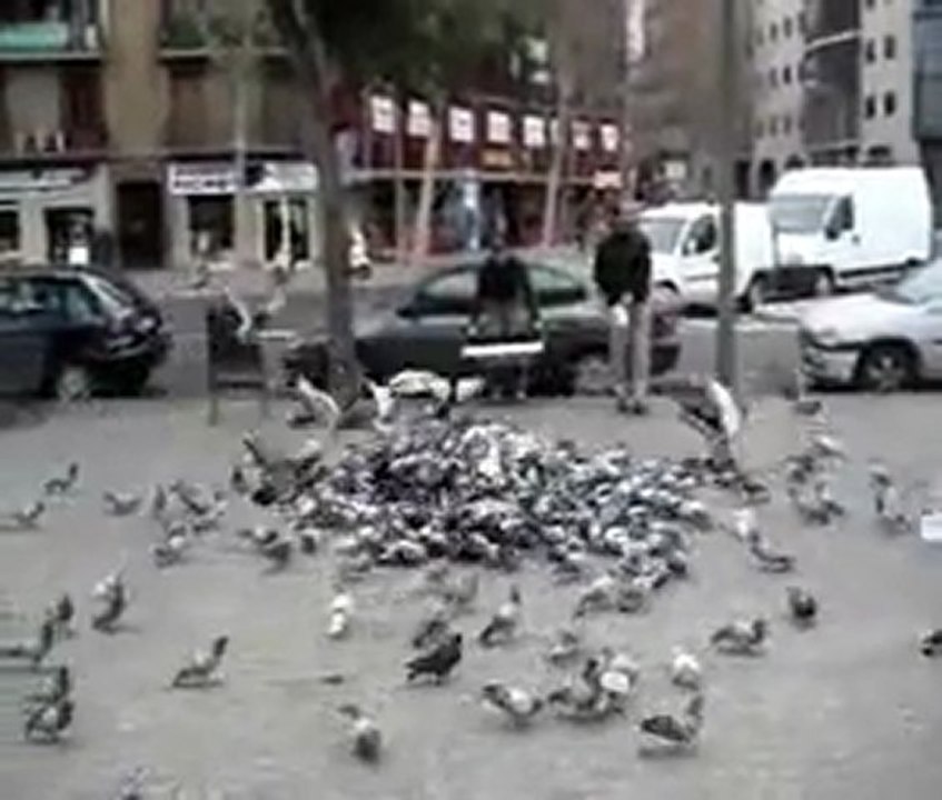 video test
