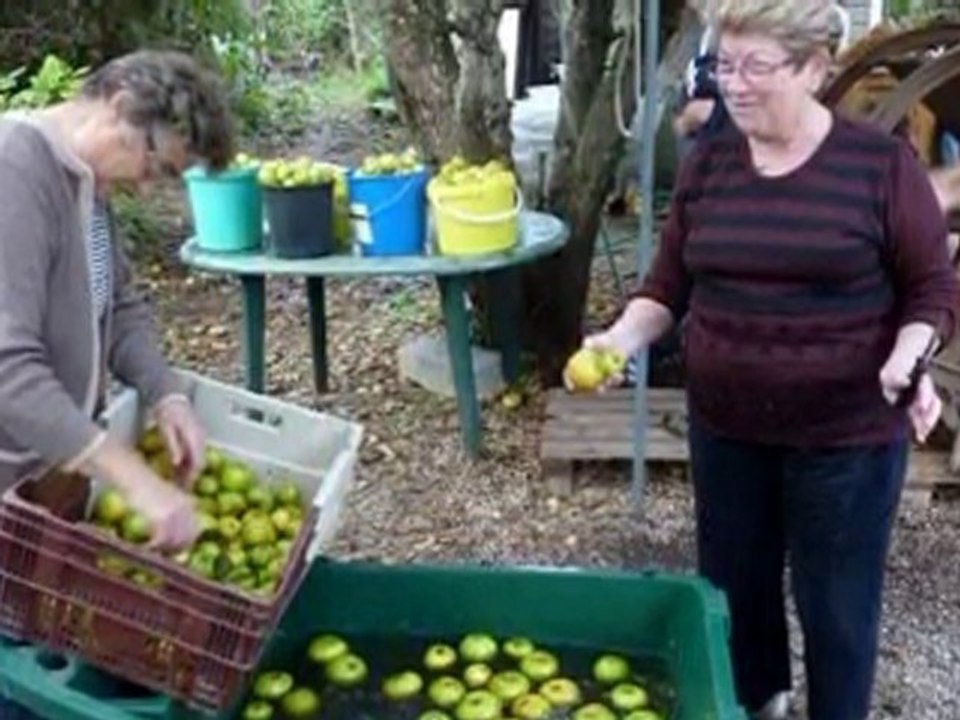 octobre 28, 2010 pommes à Kervilon