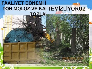 TEMİZLİK İŞLERİ MÜDÜRLÜĞÜ