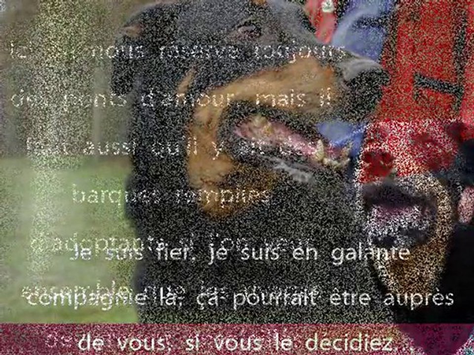 TIGO, vous attend, vous espère