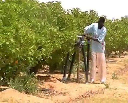 Accaparement des terres au Sénégal