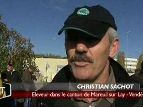 L'abattoir Charal d'Egletons bloqué ‎(Vendée)