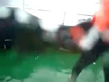 「尖閣」中国漁船側から撮影された映像2006?