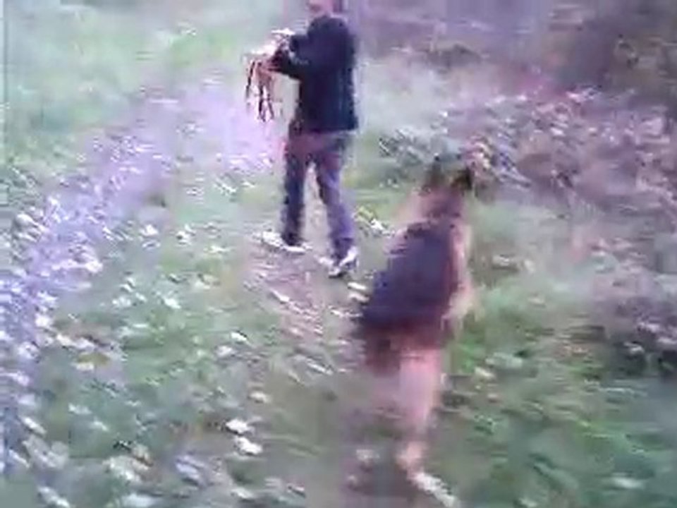 Arko ...