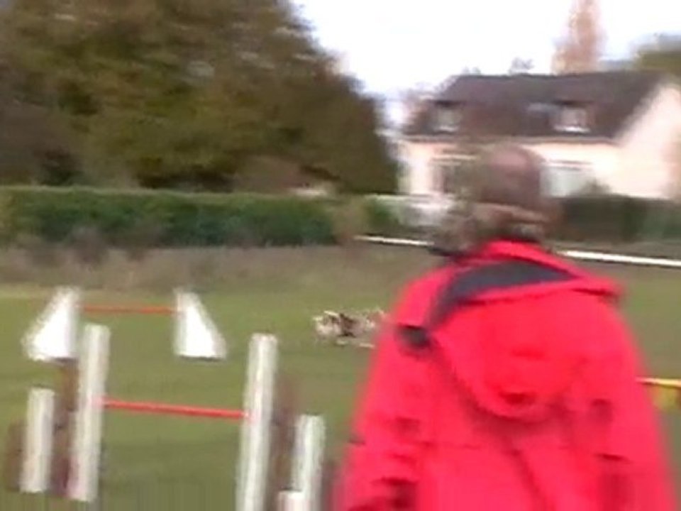 Jumping Samedi matin entrainement PW 30-10-2010