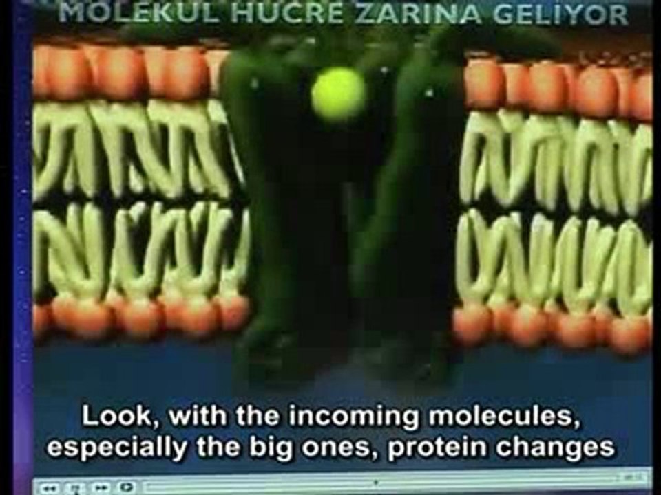 Intelligence in the cell membrane