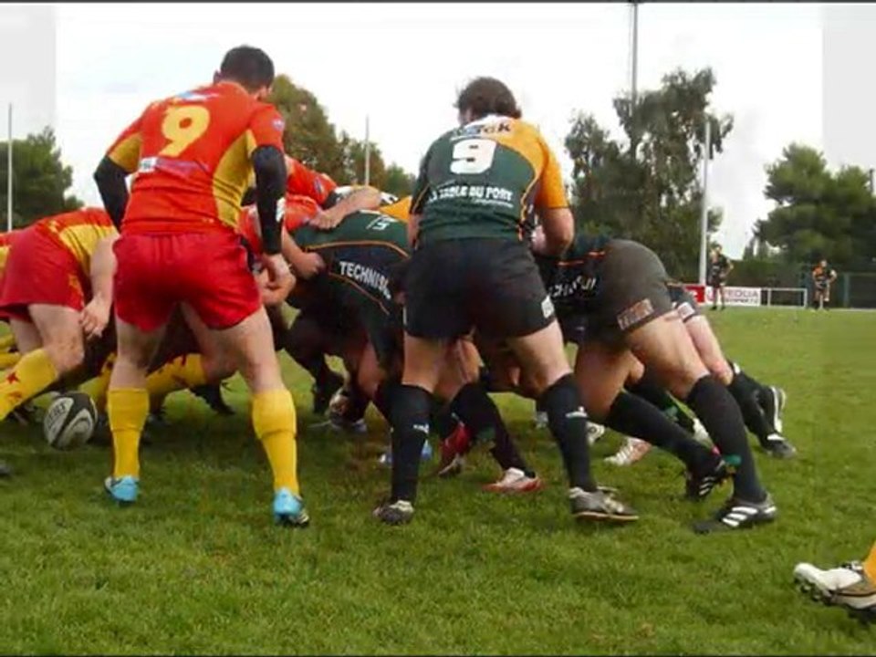 07/11/2010 chiens poubelle / monteux