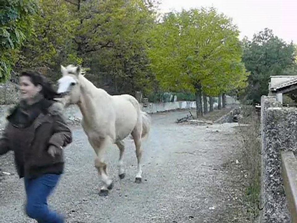 Junior Gold. liberté