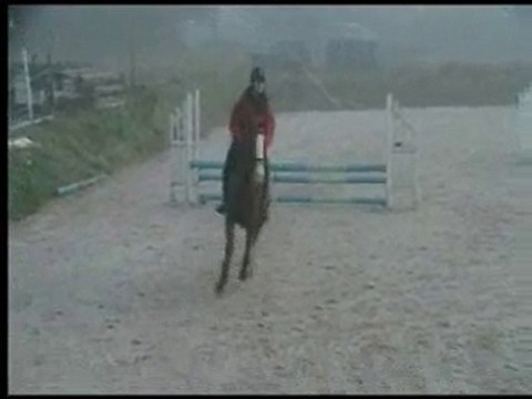 RESSY 1er Parcours CSO oct10