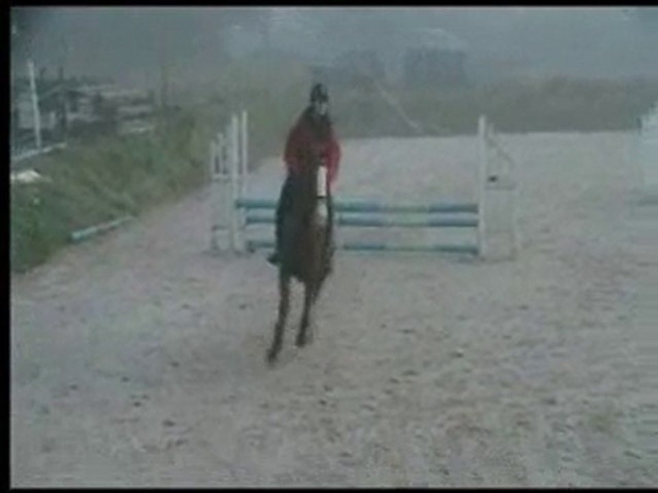 RESSY 1er Parcours CSO  oct10