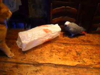 scooby et le rouquin