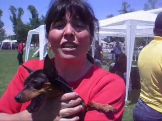 Exitosa Expo Canina en Talagante