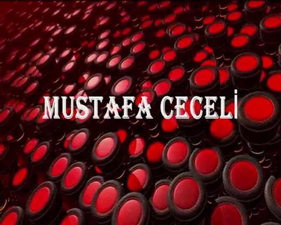 mustafa ceceli - şarkı remix radio edit
