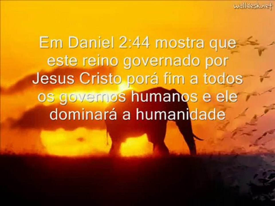 Porque tanto sofrimento? - pt 1
