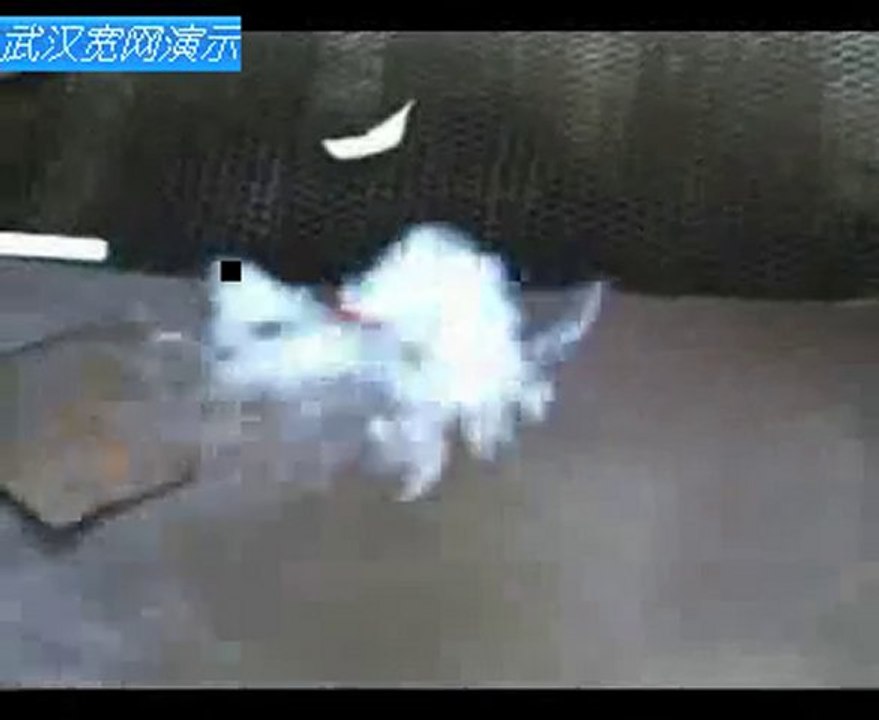 Laser Engraving Machine For Leather/Cloth