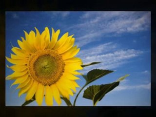 Curing Acne Naturally