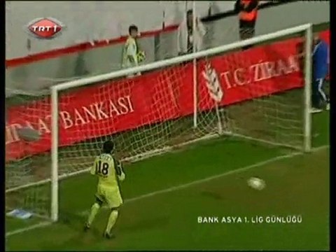 aymoli.com ant. 1-3 G.an