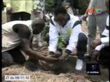 Les Congolais invités à planter davantage d'arbres