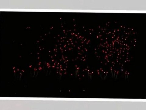 Feu d'artifice à Carcassonne : Les fleurs