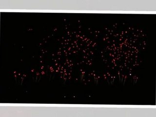 Feu d'artifice à Carcassonne : Les fleurs