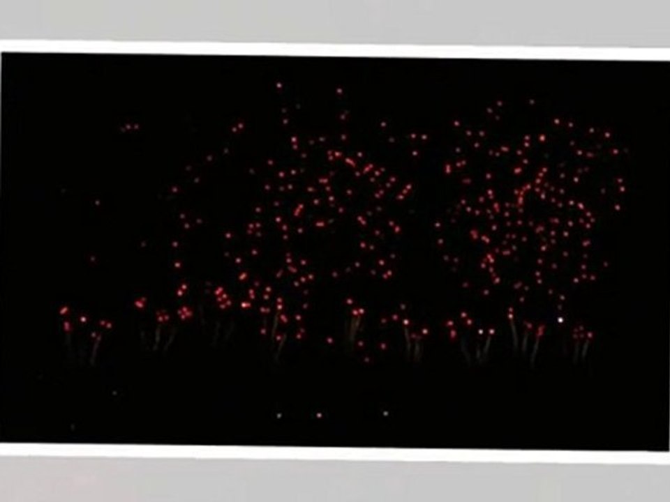 Feu d'artifice à Carcassonne : Les fleurs