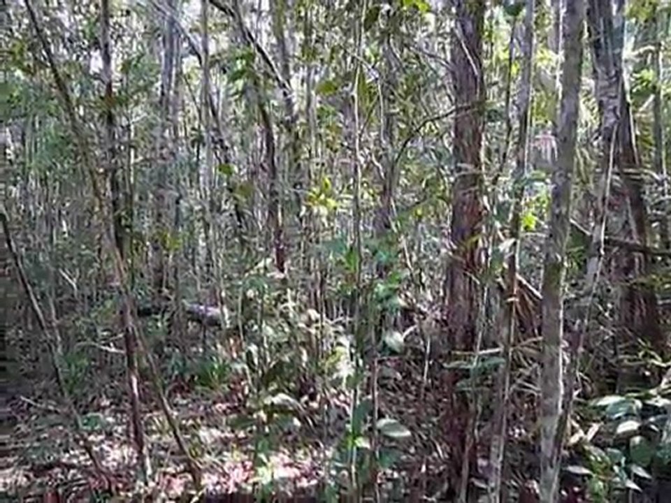 C'est pas fini ce bruit là bientôt ?!