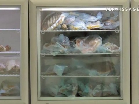 Carsten Höller: SOMA at Hamburger Bahnhof – Museum für Gegenwart, Berlin