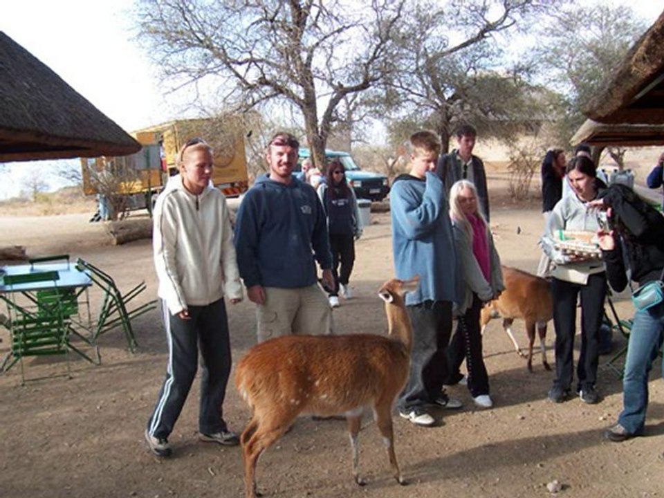 Kruger National Park, South Africa, Chipangali Animal ...