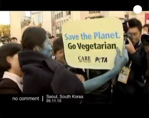 Download Video: Two PETA activists arrested in South Korea - no comment