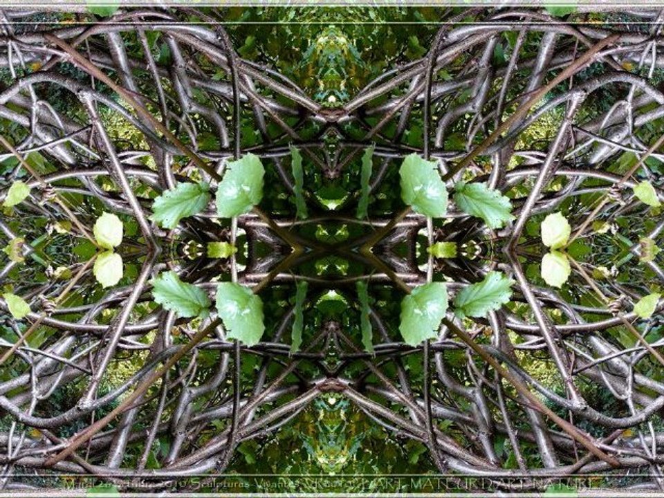 Mardi 26 octobre 2010 Sculptures-Vivantes Chap1