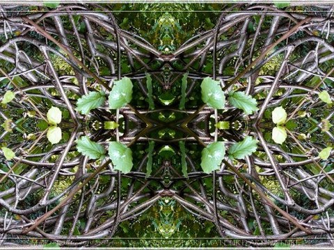 Mardi 26 octobre 2010 Sculptures-Vivantes Chap1