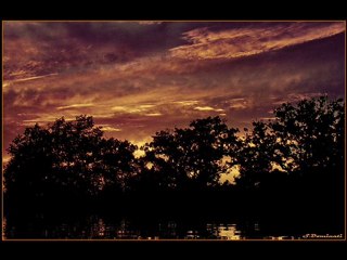 BAUDELAIRE, Charles - Harmonie du soir.