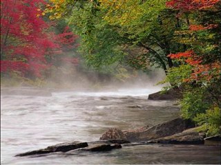 Le petit pont de bois