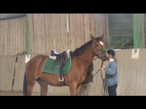 Débourrage d'Uddingston